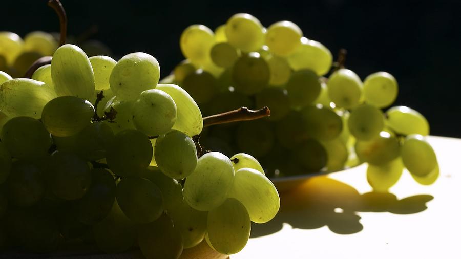 Grape Photograph - Grapes #3 by Mariel Mcmeeking