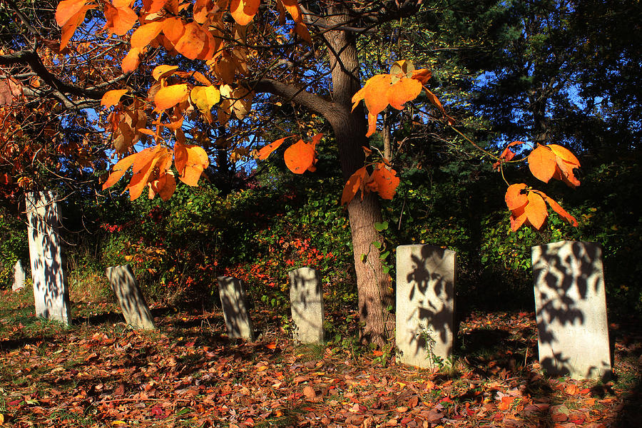 Graveyard Commack New York #3 Photograph by Bob Savage