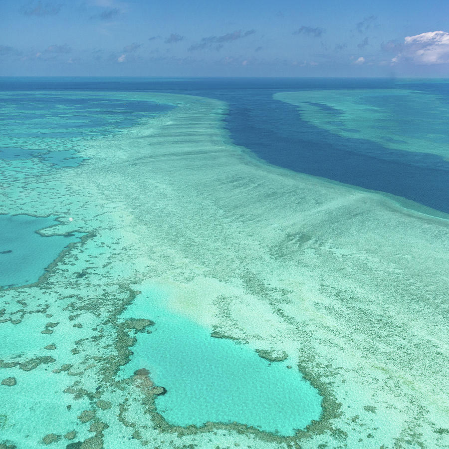 Great Barrier Reef, Australia #3 Photograph by Francesco Riccardo Iacomino