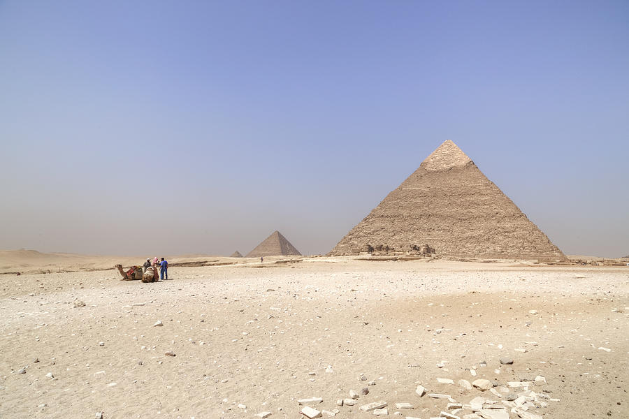 Camel Photograph - Great Pyramids of Giza - Egypt #3 by Joana Kruse