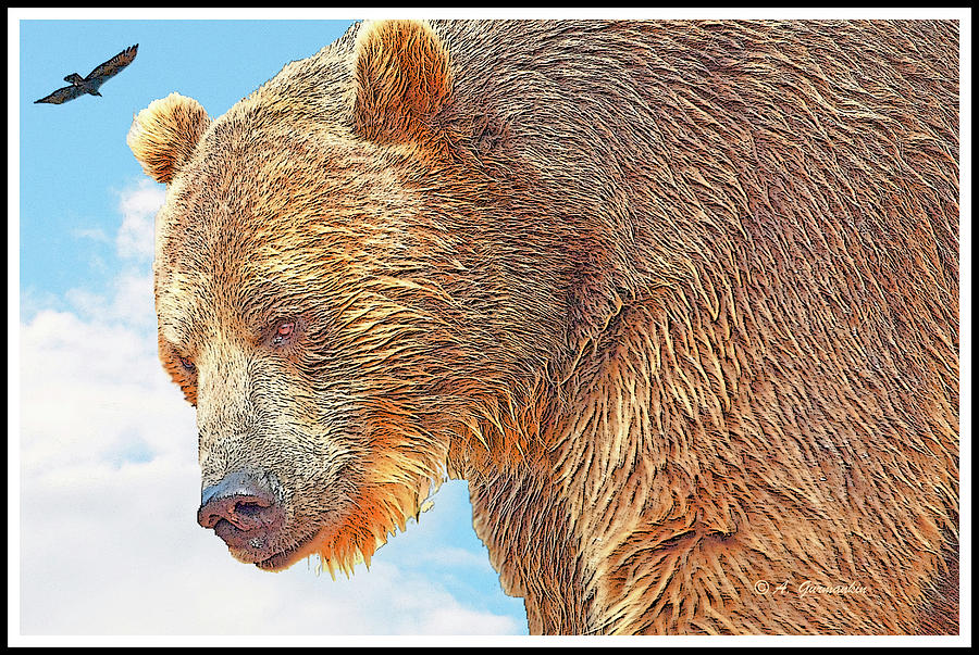 Grizzly Bear on the Prowl #3 Digital Art by A Macarthur Gurmankin