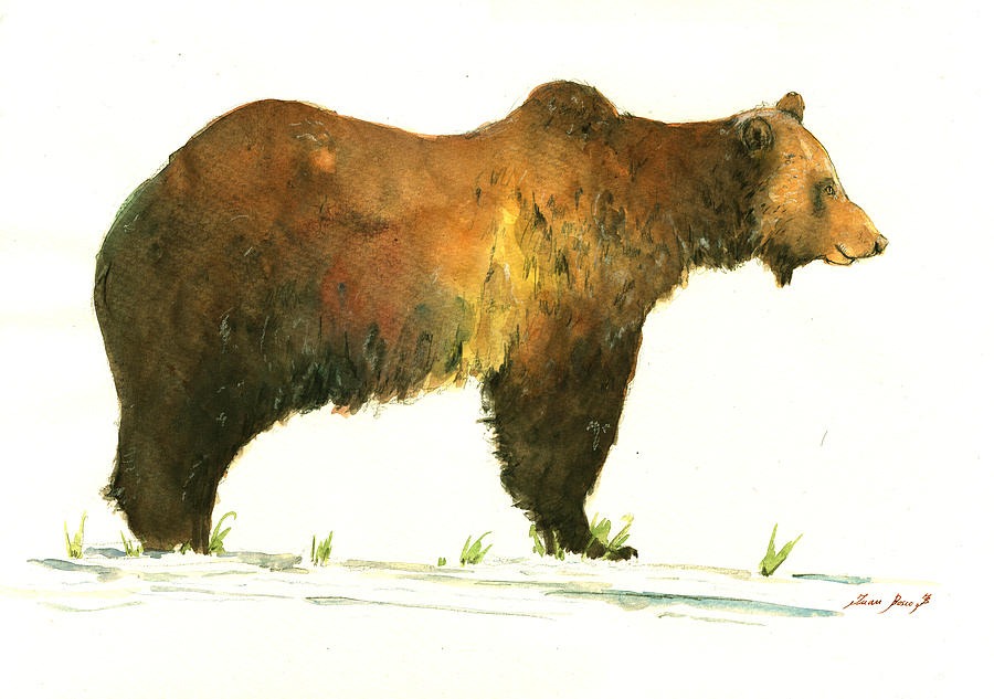 Grizzly Bear Painting - Grizzly brown bear #3 by Juan  Bosco