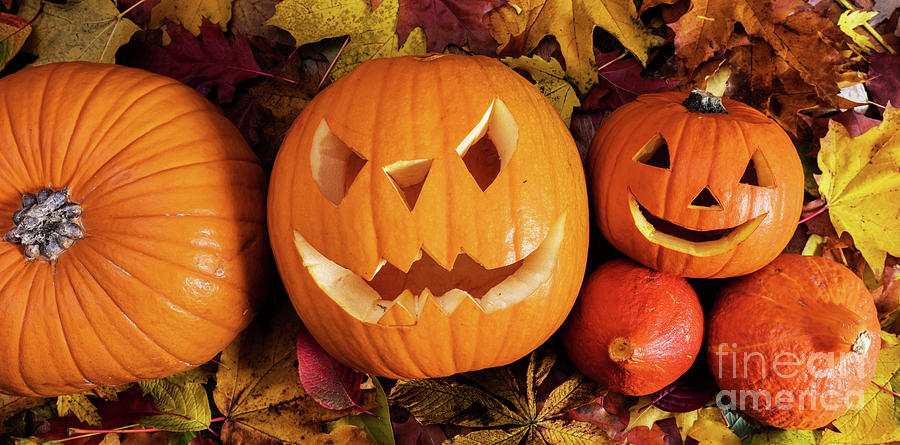 Halloween pumpkins, carved jack-o-lantern in fall leaves #3 Photograph by Michal Bednarek