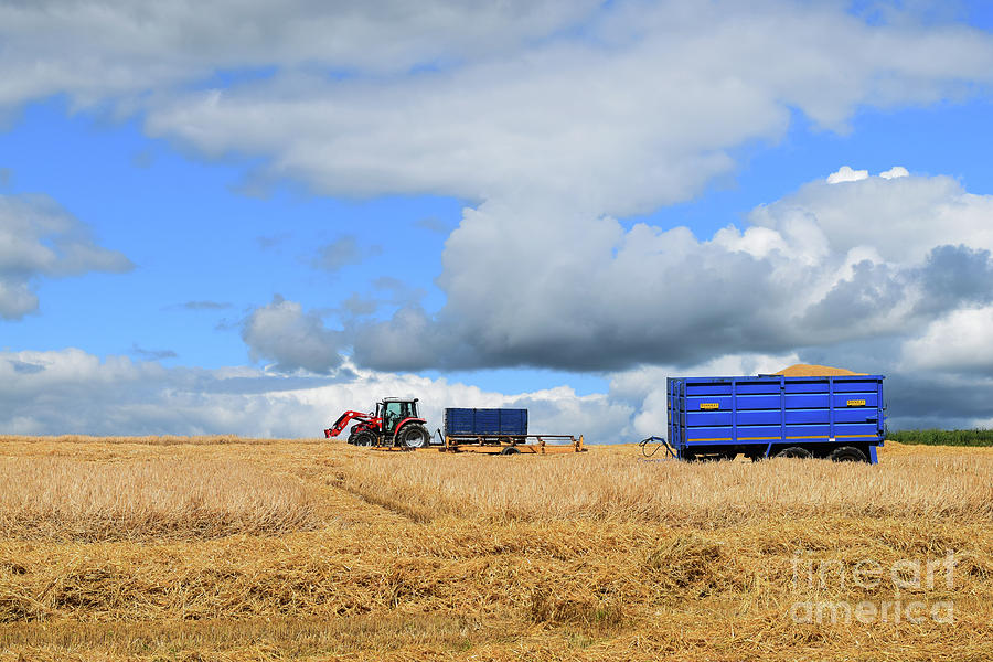 Harvest time #3 Photograph by Joe Cashin