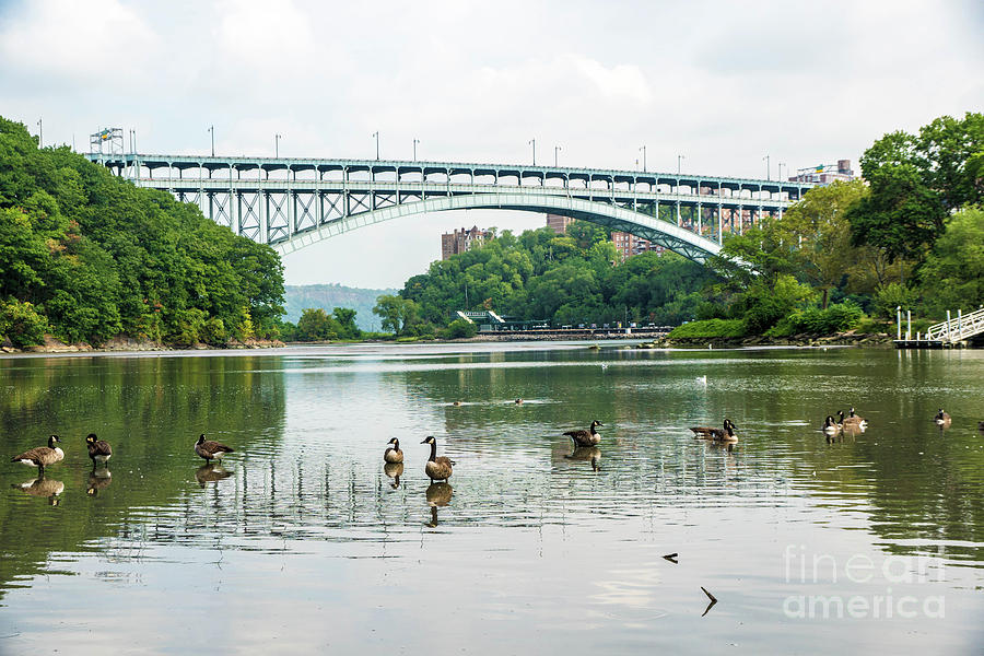 Geese Photograph - Henry Hudson Bridge #3 by Cole Thompson