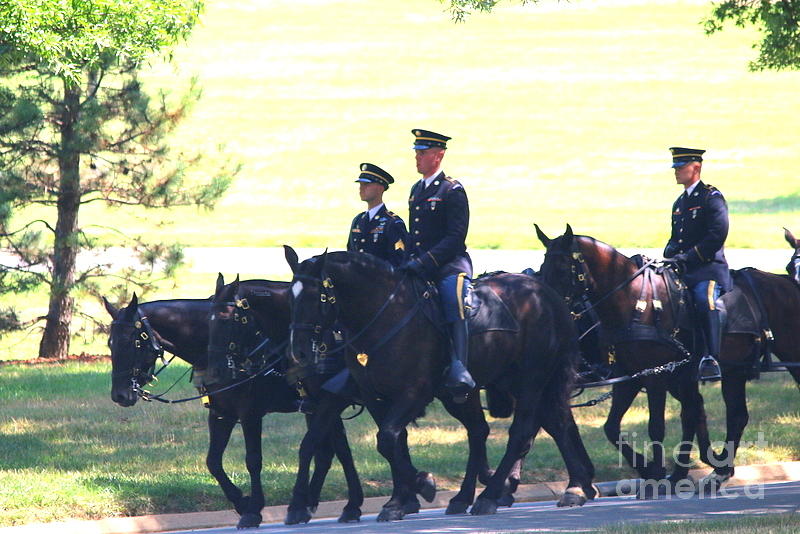 Horse and Caisson Team at Arlington Cemetery Photograph by William E ...