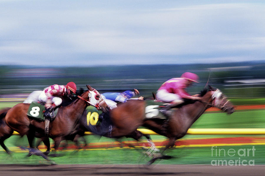 Horse Race Photograph