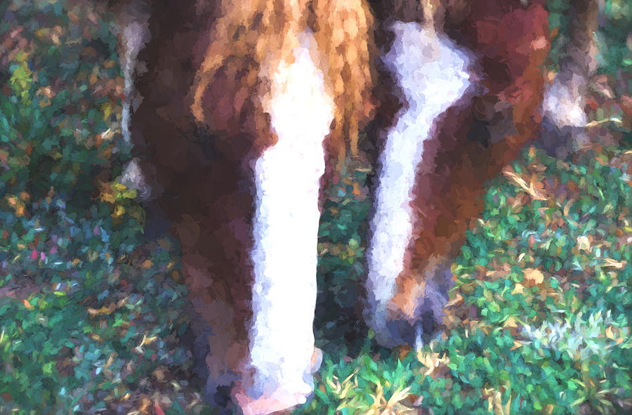 Horses  #3 Digital Art by Cathy Anderson