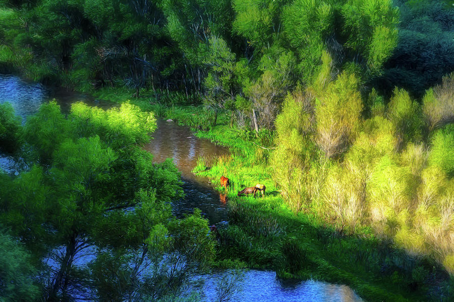 3 Horses grazing on the bank of the Verde River Photograph by Robert FERD Frank