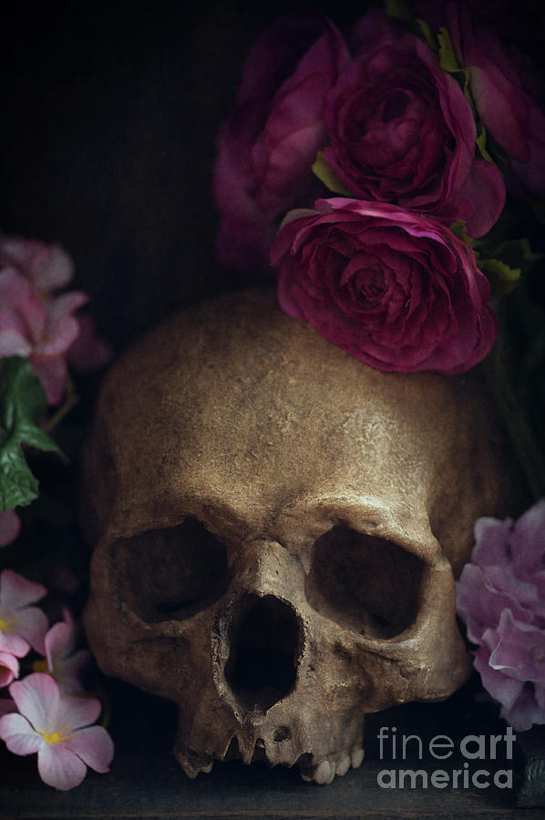 Human Skull With Flowers #3 Photograph by Lee Avison