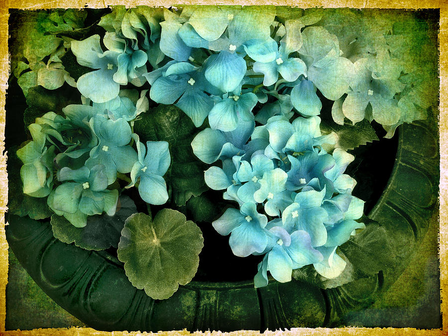 Flower Photograph - Hydrangea by Jessica Jenney