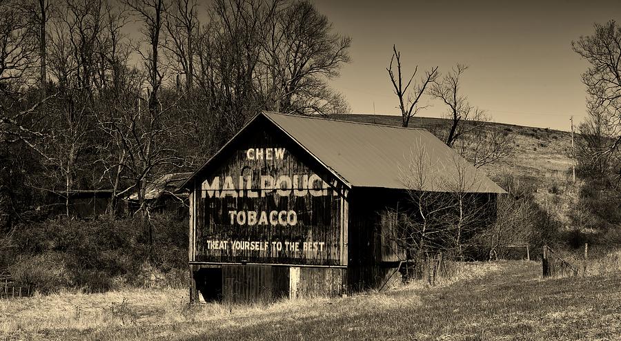 Tree Photograph - Iconic Mail Pouch Tobacco Barn In Ohio #3 by Mountain Dreams