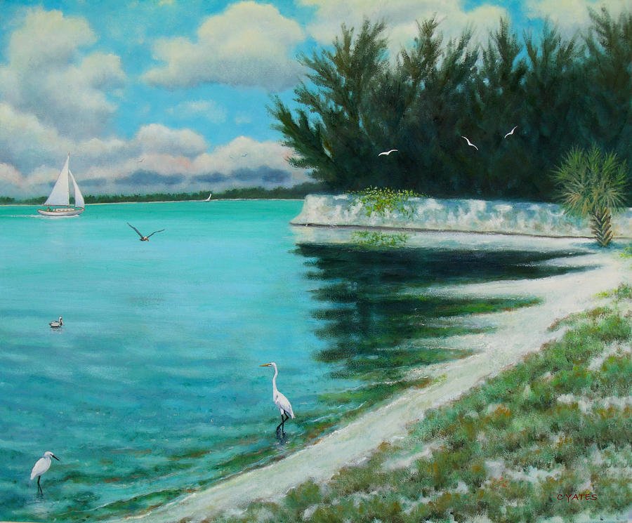 Pelican Painting - Indian Beach #3 by Charles Yates