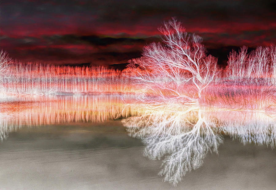 Infrared landscape #4 Mixed Media by Lilia S