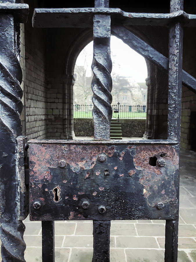 Iron railings detail  #3 Photograph by Tom Gowanlock