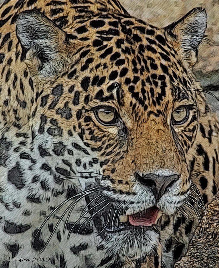 Jaguar #3 Digital Art by Larry Linton