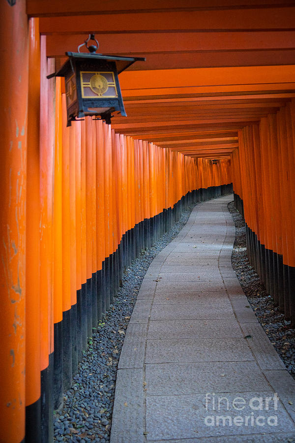 Japan #3 Photograph by Milena Boeva