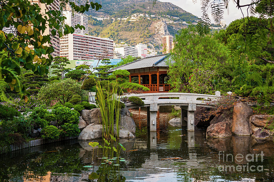 Japanese garden in Monte Carlo 1 Photograph by Elena Elisseeva