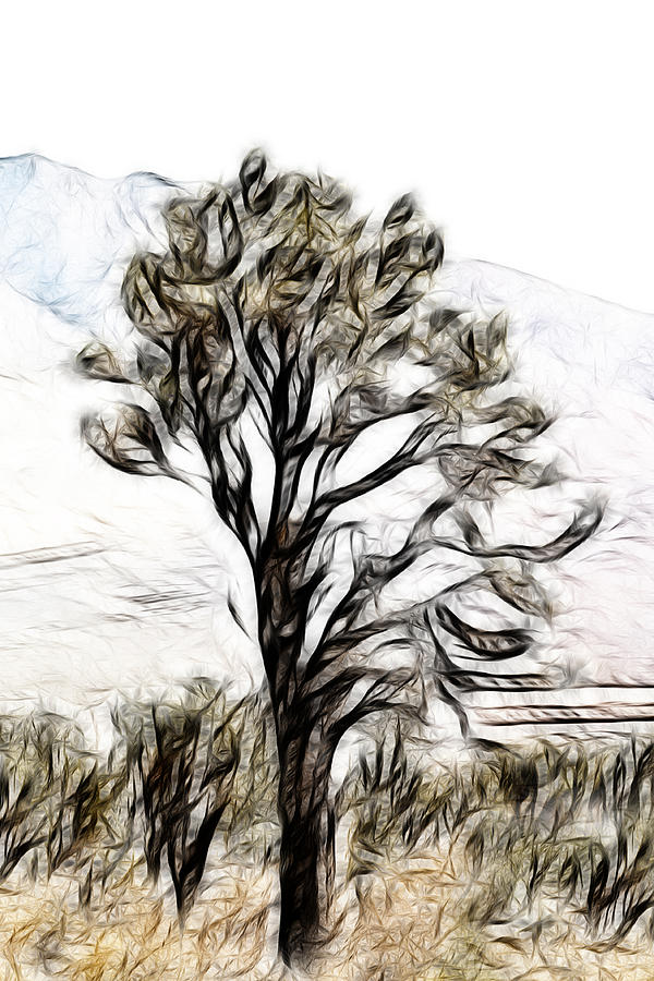 Joshua Tree #4 Digital Art by Gravityx9 Designs