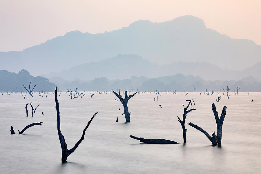 Kandalama Lake - Sri Lanka #3 Photograph by Joana Kruse