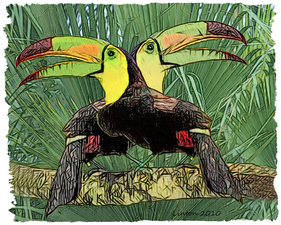 Bird Digital Art - Keel-billed Toucans #3 by Larry Linton
