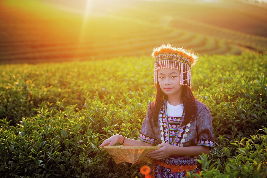 Kid and Green tea field in shui fong #3 Photograph by Anek Suwannaphoom