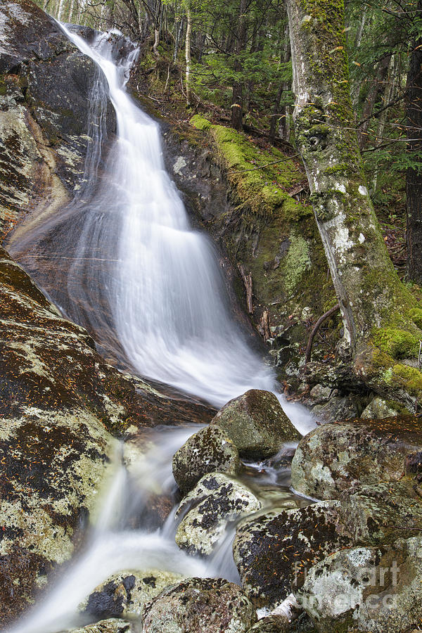 Nature Photograph - Waternomee Brook Cascades - Kinsman Notch New Hampshire by Erin Paul Donovan
