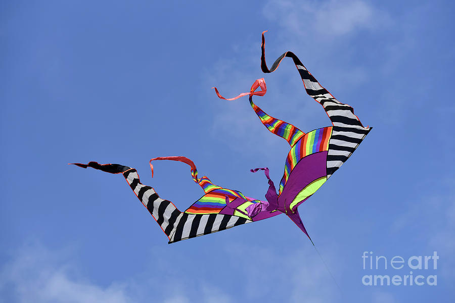 Kite flying during Kite festival #2 Photograph by George Atsametakis