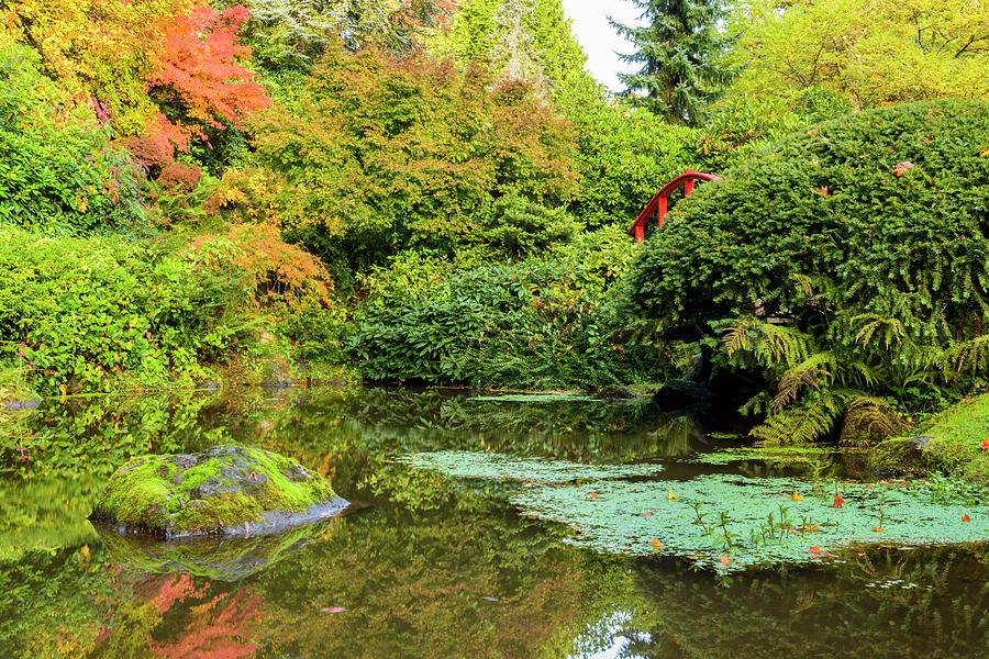 Kubota Garden, Seattle #3 Digital Art by Michael Lee