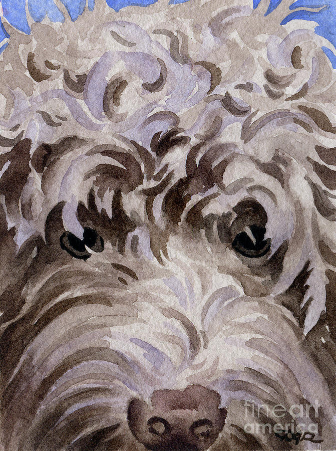 Labradoodle Painting - Labradoodle by David Rogers Labradoodle Painting - Labradoodle by David Rogers