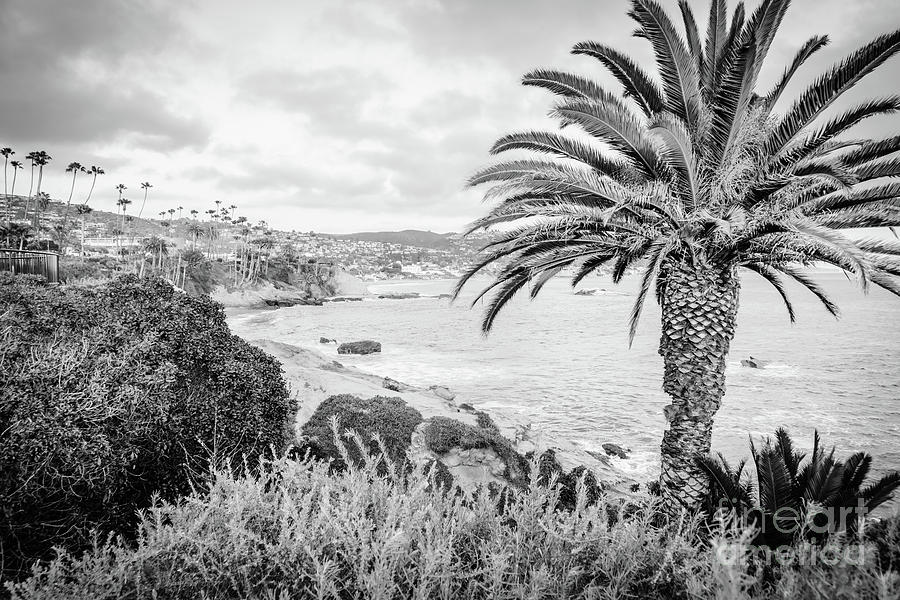 Beach Photograph - Laguna Beach Black and White Photo #3 by Paul Velgos