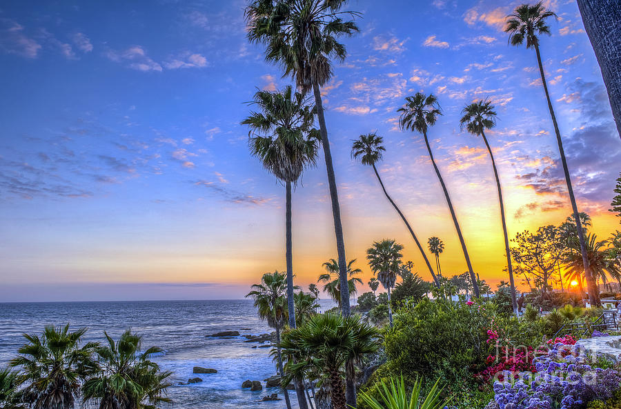 Laguna Beach California Photograph by David Zanzinger