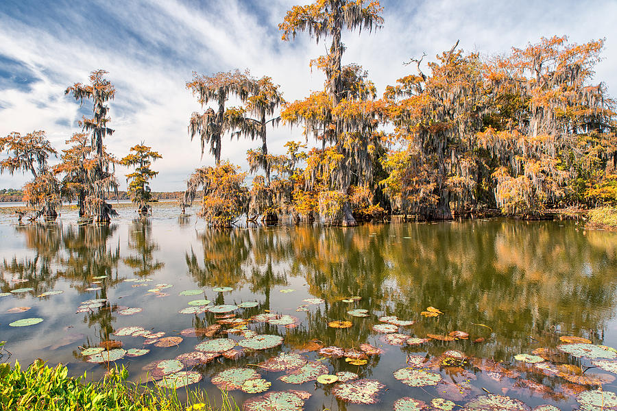 Lake Martin Louisiana 3 Photograph by Victor Culpepper