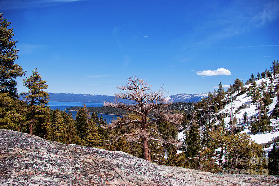 Lake Tahoe #3 Photograph by Jim And Emily Bush