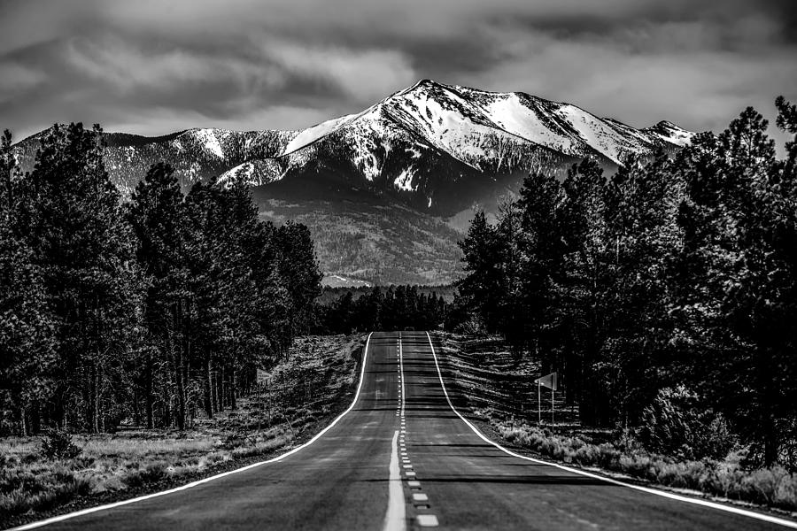 landscape with Humphreys Peak Tallest in Arizona #3 Photograph by Alex Grichenko