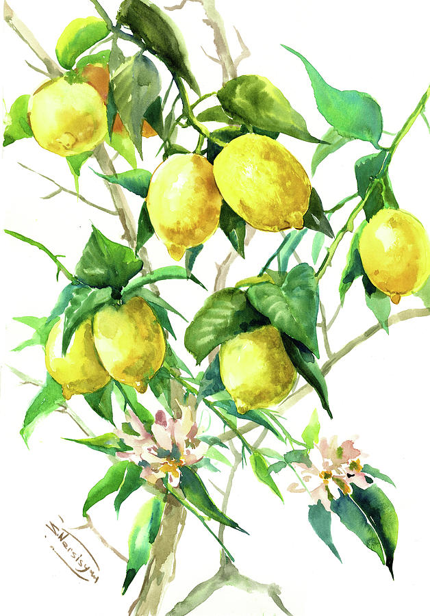 Lemon Tree #3 Painting by Suren Nersisyan