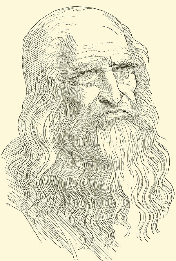 Leonardo Da Vinci Drawing by English School