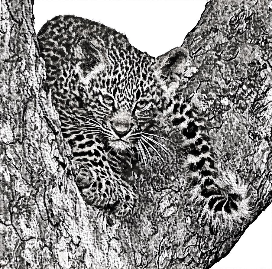 Leopard Cub #3 Photograph by Gini Moore