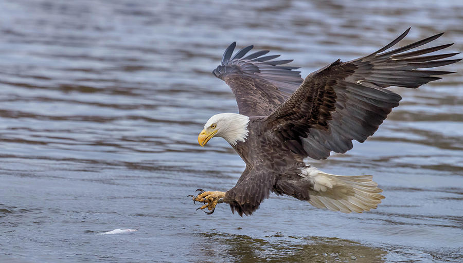 Lets go Fishing Photograph by Mike Yeatts - Fine Art America