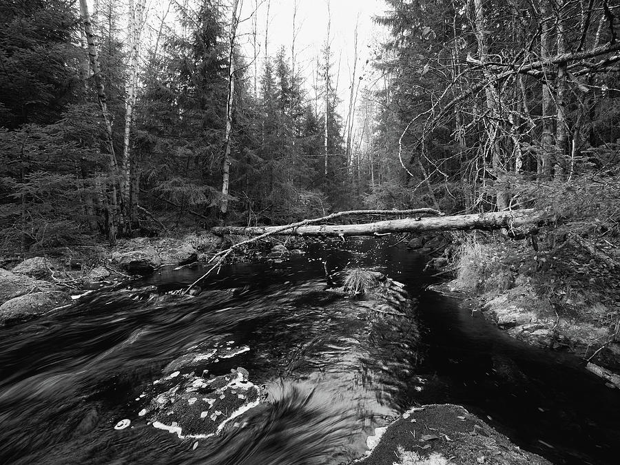 Liesijoki.  Seitseminen National Park #3 Photograph by Jouko Lehto