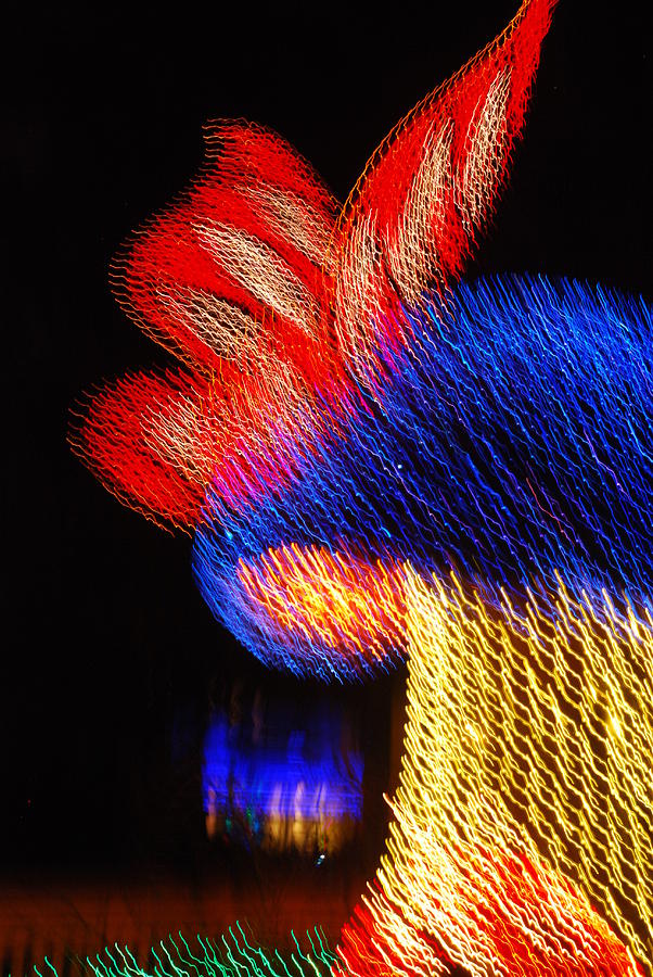 Lighted Shroom #3 Photograph by Rob Hans