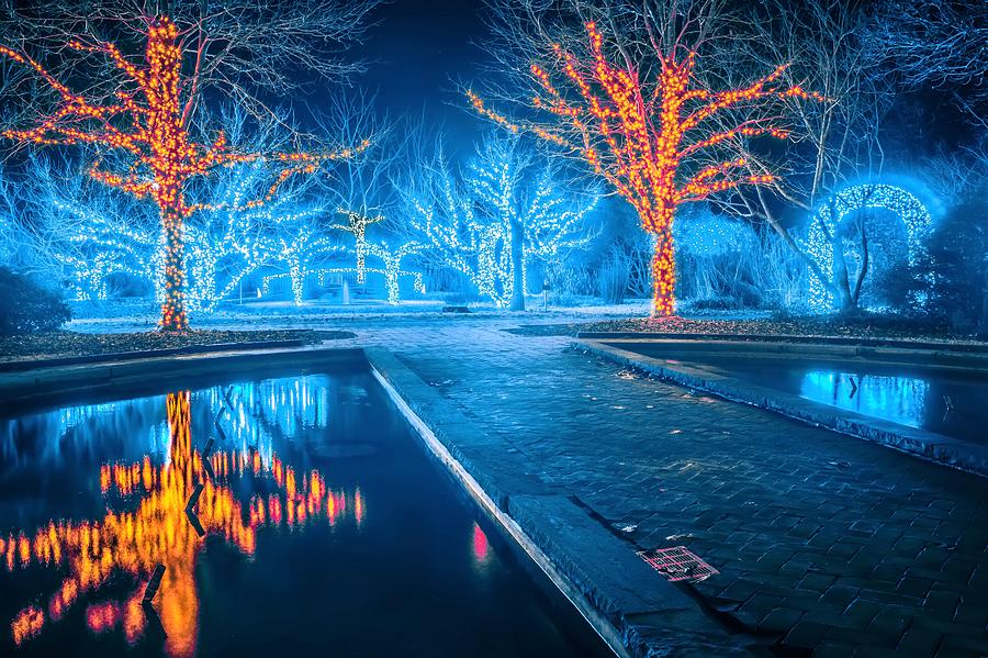 Lights, Christmas, Light, Christmas tree, Green, Color, Red, Blu #3 Photograph by Alex Grichenko