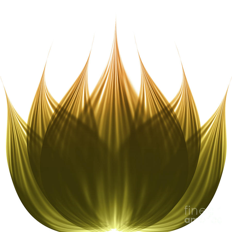 Abstract Digital Art - Lotus Flower by Atiketta Sangasaeng Abstract Digital Art - Lotus Flower by Atiketta Sangasaeng