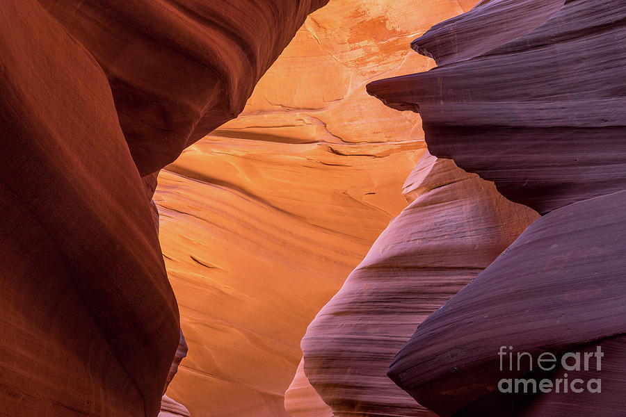 Lower Antelope Canyon #11 Photograph by Craig Shaknis