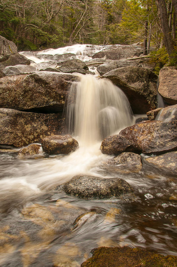 Lower Georgiana Falls #3 Photograph by Brenda Jacobs