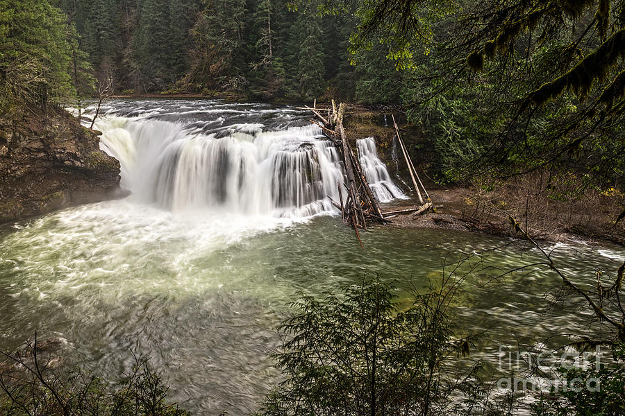 Lower Lewis River Falls In Washington State Photograph By Jamie Pham