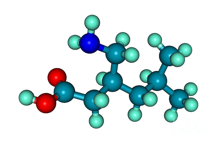 Lyrica Pregabalin Molecular Model #3 Photograph by Scimat