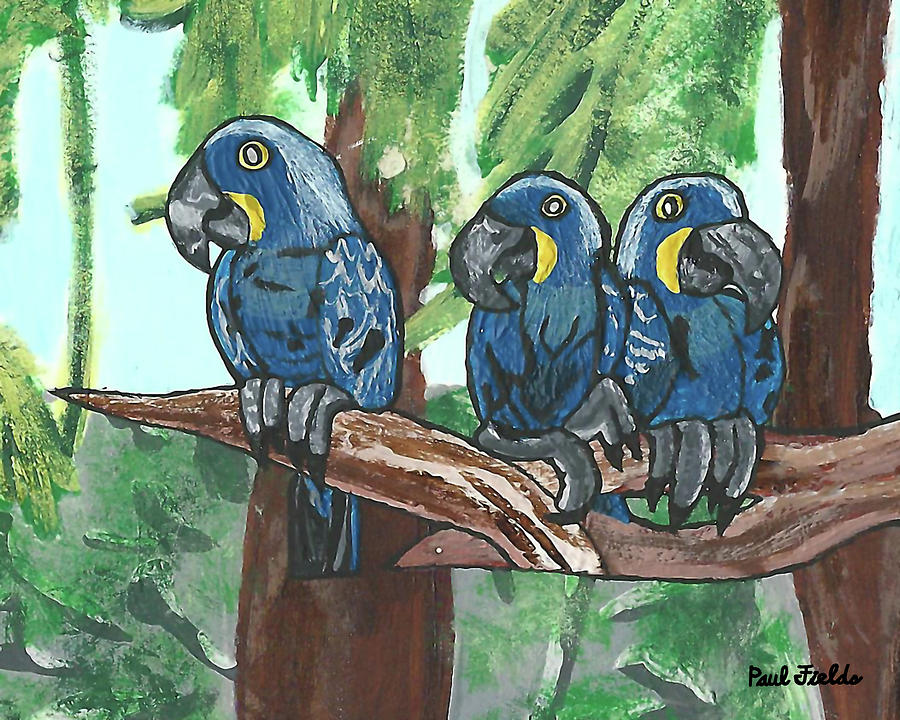 3 Macaws Painting by Paul Fields