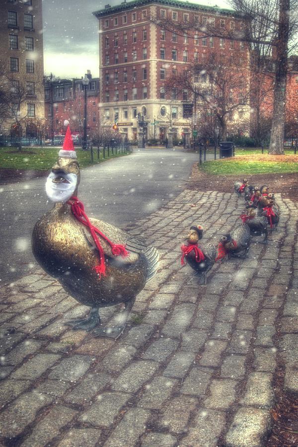 Make Way For Ducklings - Boston Public Garden #3 Photograph by Joann Vitali