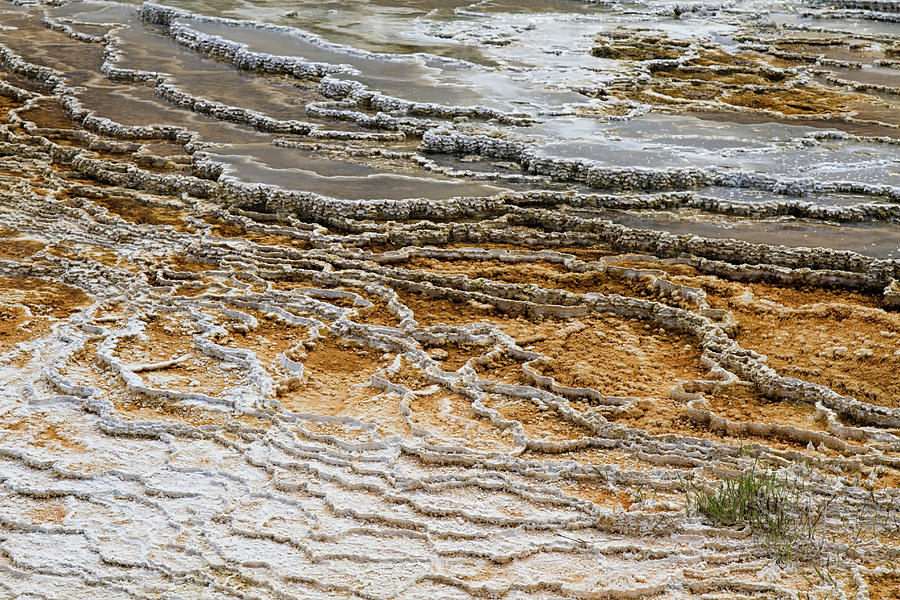 Mammoth Hot Springs abstract #3 Photograph by Shirley Mitchell